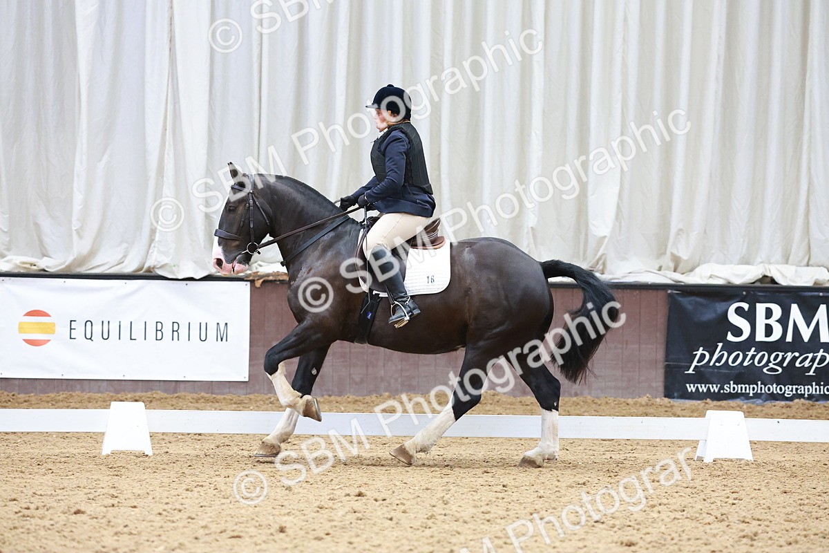 SBM_006886 - Class 3 - Prelim 2