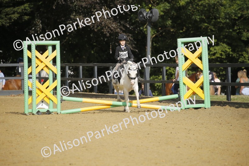 20250622-1197 - 40cm