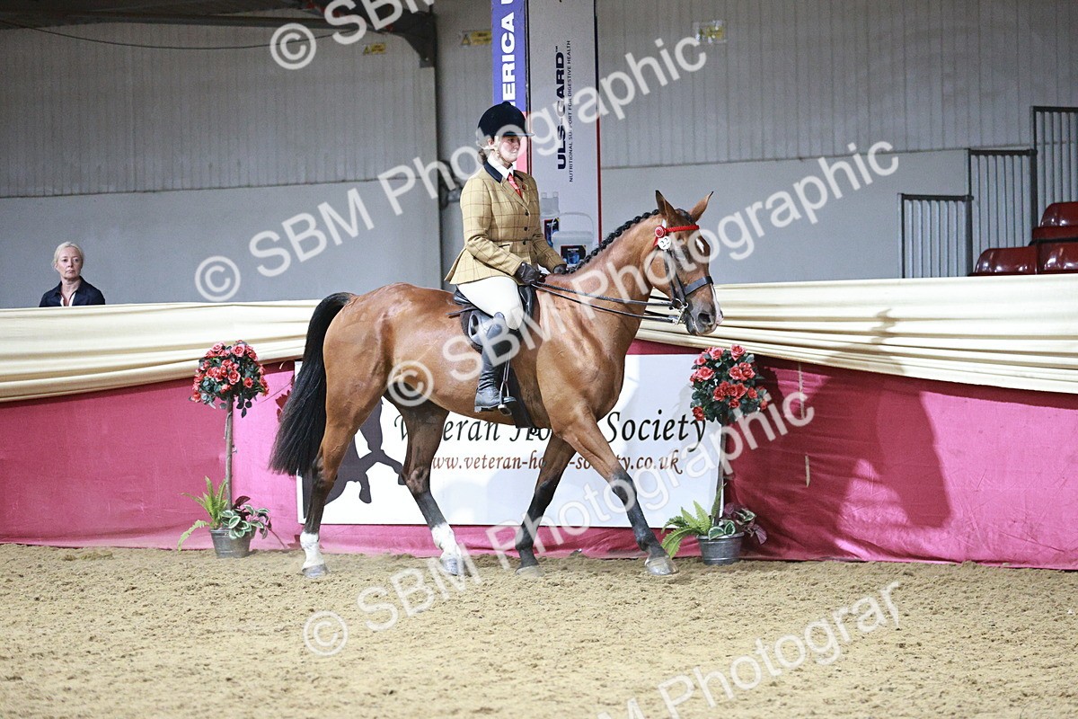 SBM_08009 - Class 11R - Regional Ridden Veteran