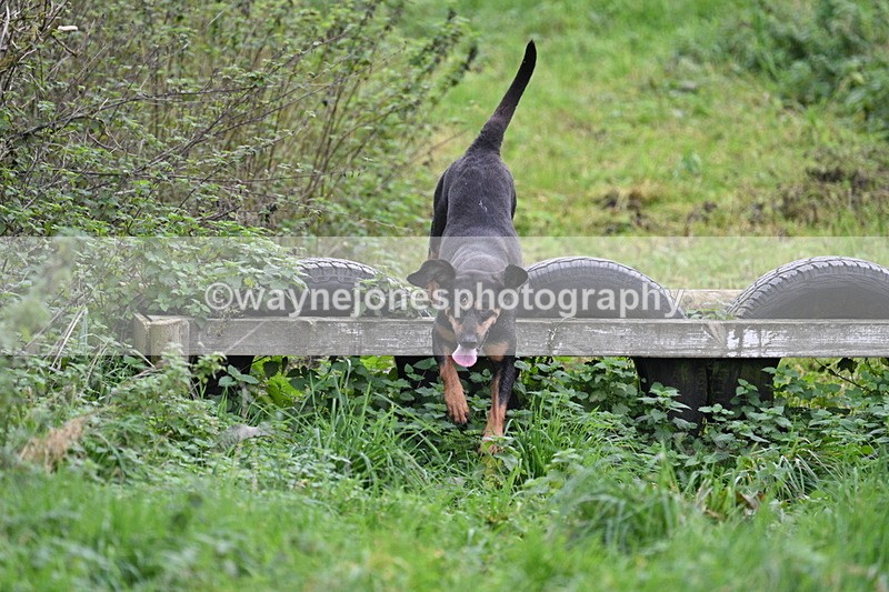 WJ7_8955 - Camera 1 only on this line