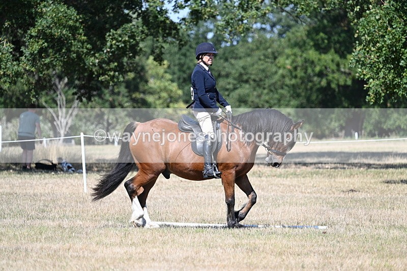 WJ7_0770 - Time 12:03 to 12:23