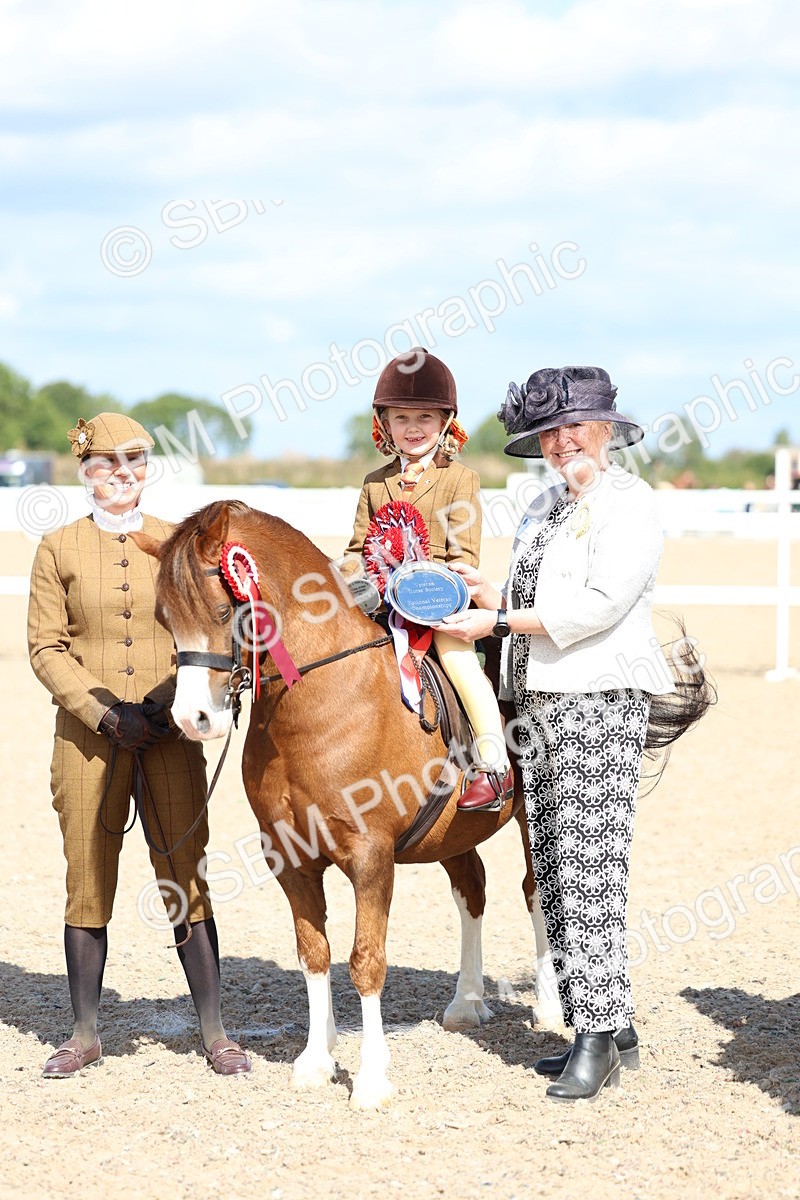 SBM_13112 - Class 309 - Lead Rein Pony