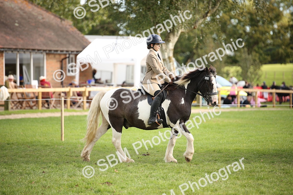 SBM_54258 - S27 - Mature Veteran - Ridden