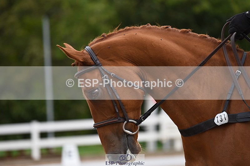 230912A-124920-00936 - Cls 8 Elementary 59