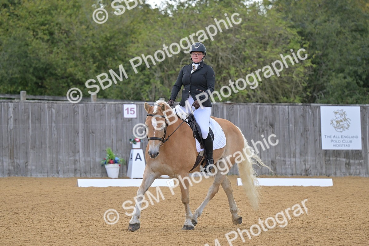 SBM_11153 - D3 - Small Tour Championship Intro 3