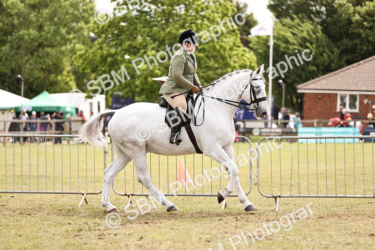 SBM_14667 - Class 88-89 - LIHS BSHA Rising Star of Ridden Hunter Type