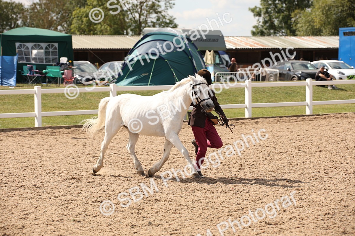 SBM_04578 - Class 20 IH Veteran