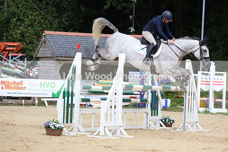 3E7A4451 - Class 8: Senior Foxhunter/1.20 open