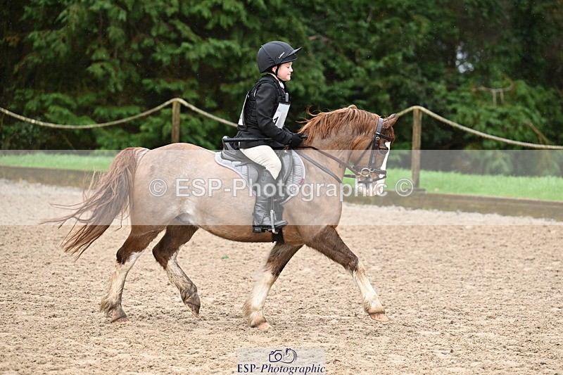 260222A-101855-00364 - 40cm Unassisted