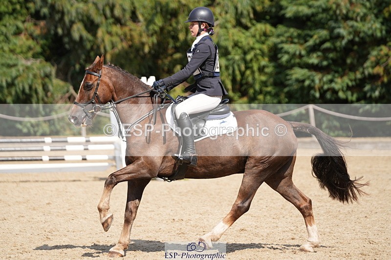 250824A-144528-38459 - 2133-Dolcie.Powell-Tresorya.Aled