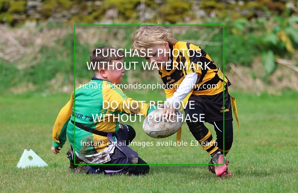 533A5352 - Kendal Rugby Under 7's (12/4/26)