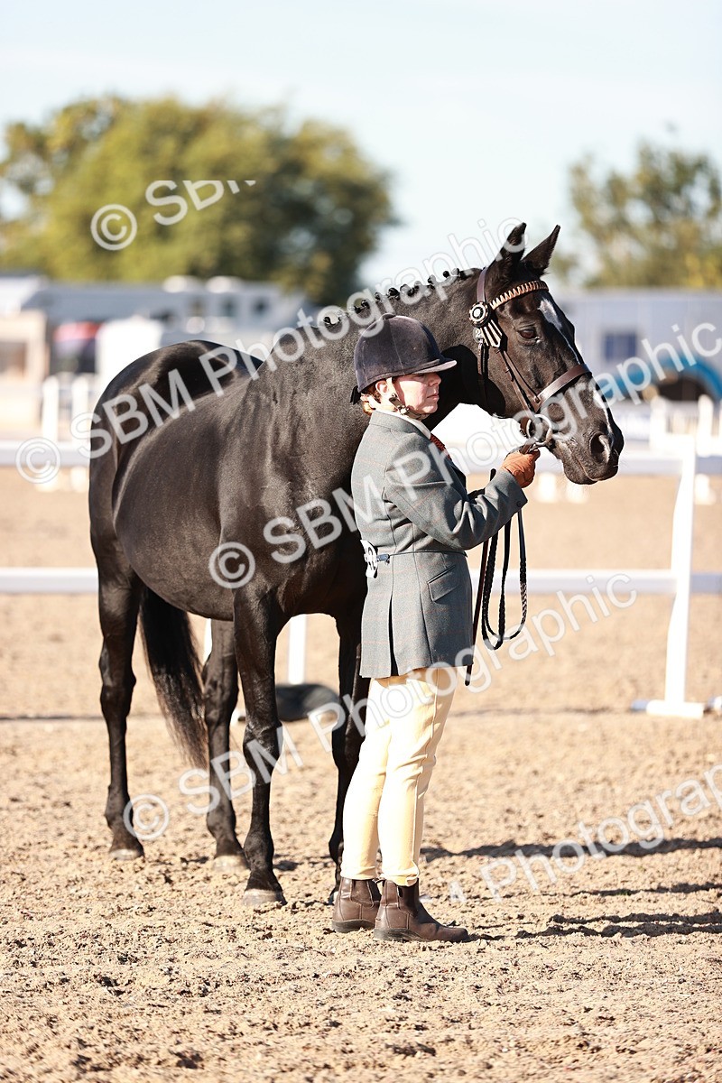 SBM_11189 - Class 401 - IH  Veteran horse