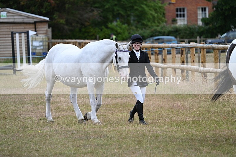 WJ7_9065 - Class 4a Prettiest Mare 14.2hh and over