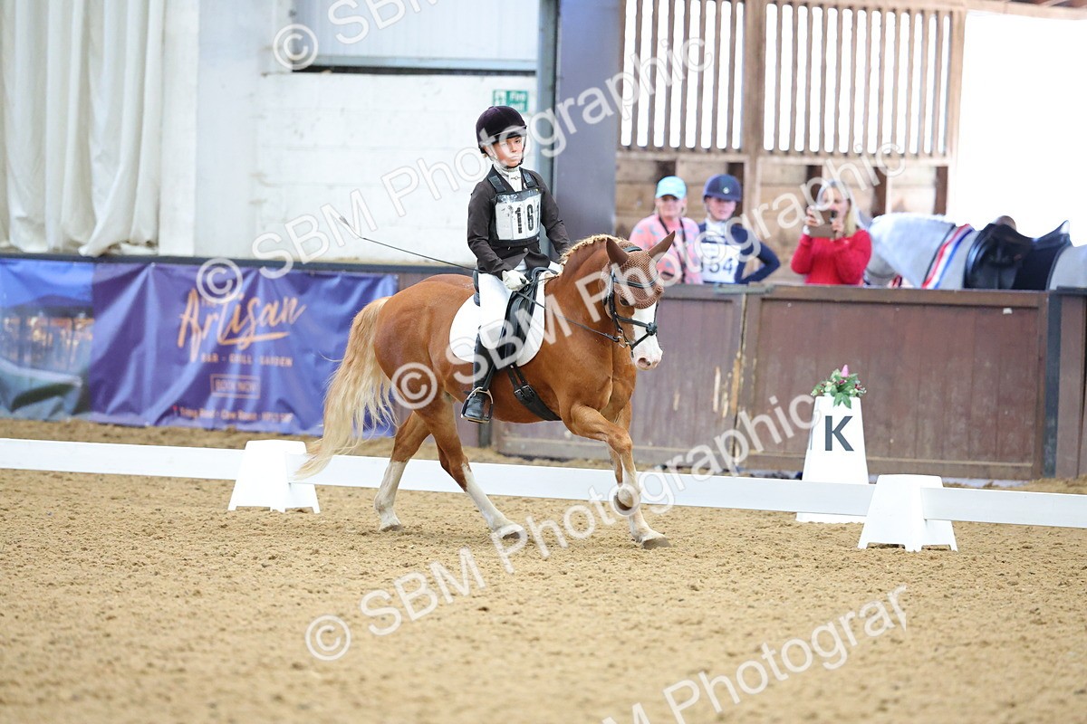 SBM_002969 - Novice