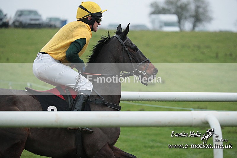 PtP 031223 780 - Wheatland Hunt PtP Chaddesley Races 03/12/23