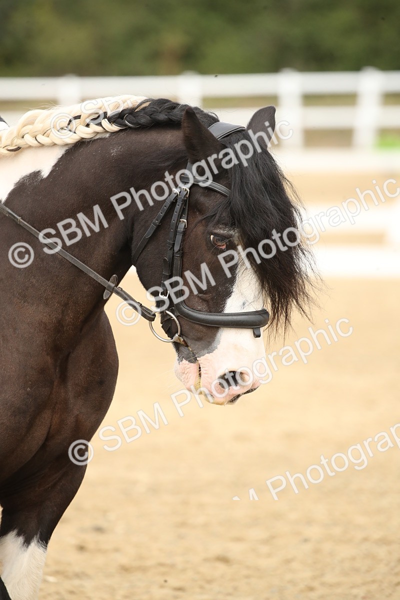 SBM_001280 - Class 2 - Pelim 5 - 11.36.12.32