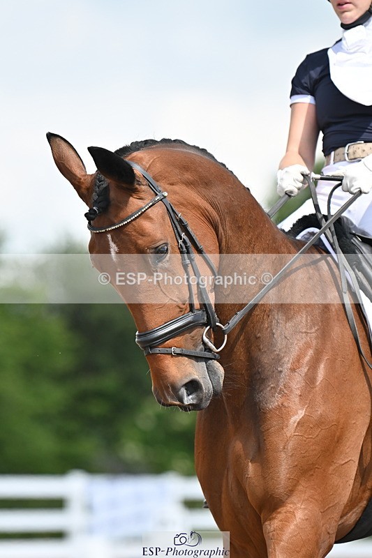 240621A-110728-01530 - Cls 4 BD Novice 22