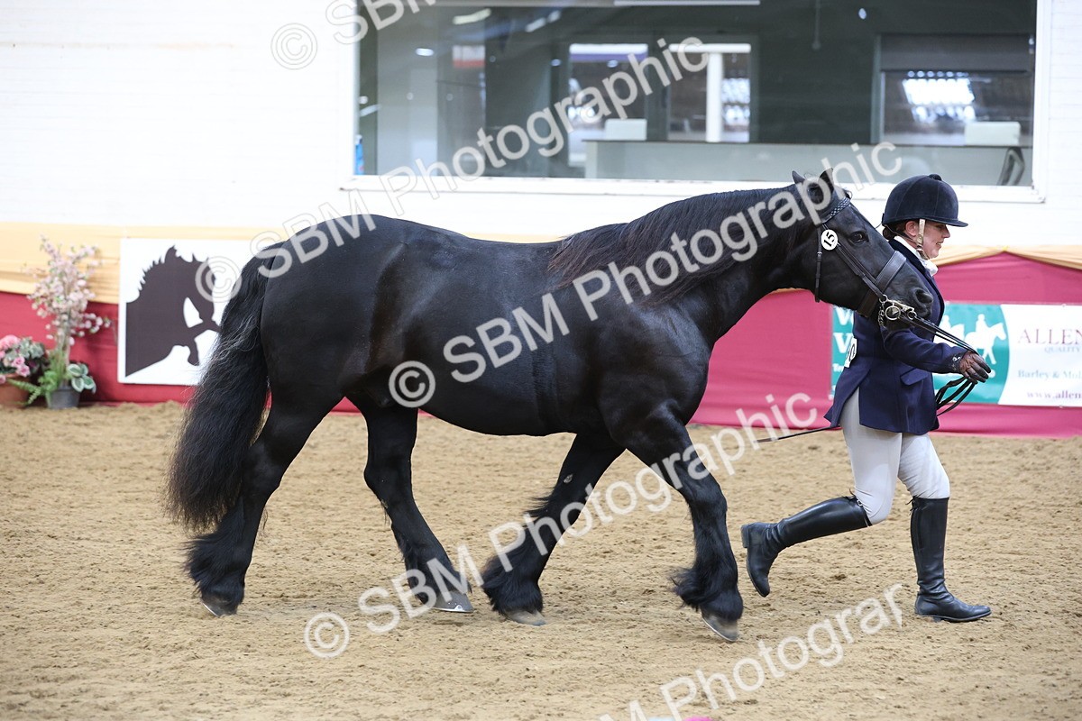 SBM_23635 - class 906 - Supreme Final - Ridden Pre Vet