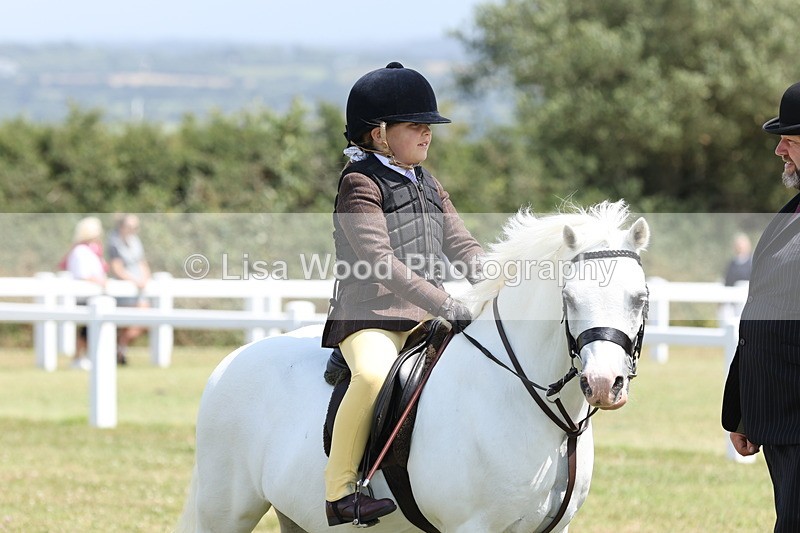 JPP_1828 - Class 18: Tiny Tots Working Hunter Pony