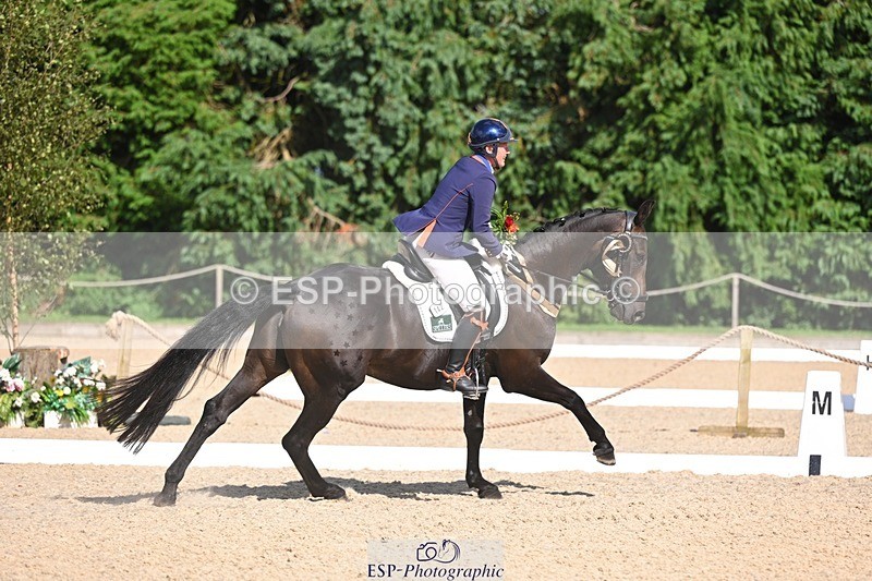 240809-162536-02374 - Preliminary Gold