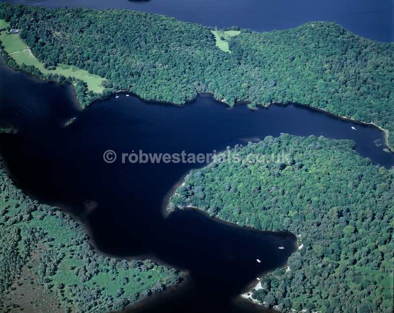 A00118B Inchtavannach Inchmoan Inchconnachan Islands of Loch Lomond in - Lochs, glens and rivers