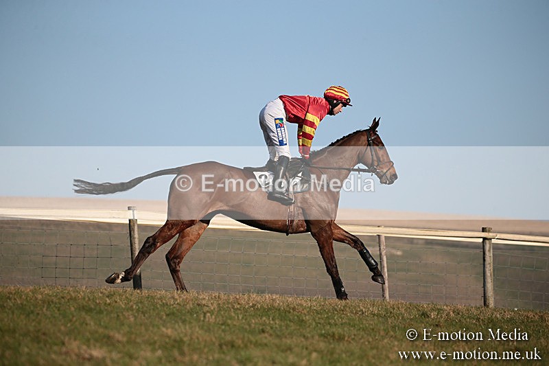 PtP 230219 492 - Vine & Craven Point-To-Point - Barbury 23/02/19