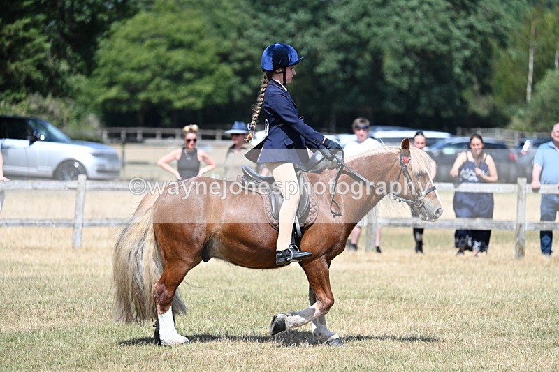 WJ7_3384 - Class 8 Ridden Veterans