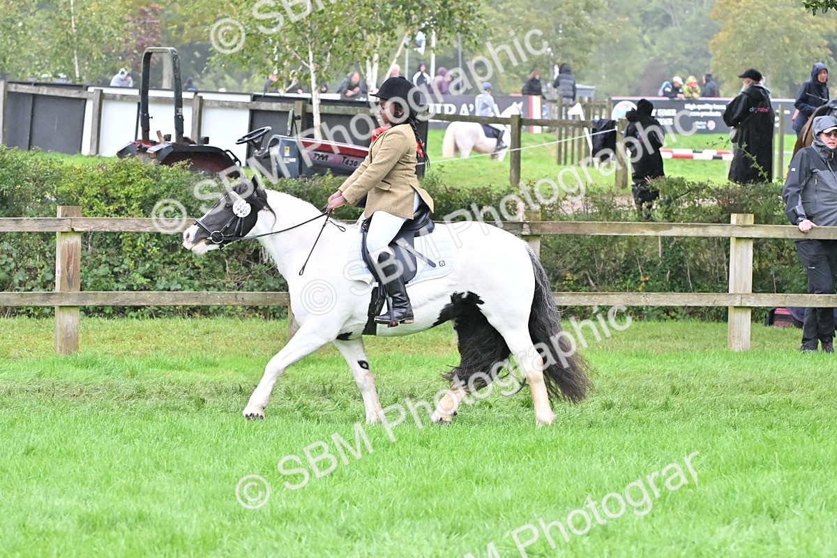 SBM_72573 - S43 - Ridden Equitation Best Rider