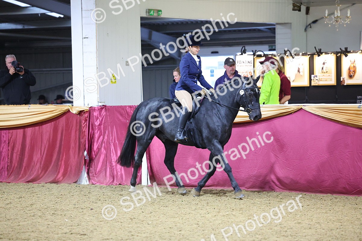 SBM_19139 - Class I Competition/ Riding Club Champ