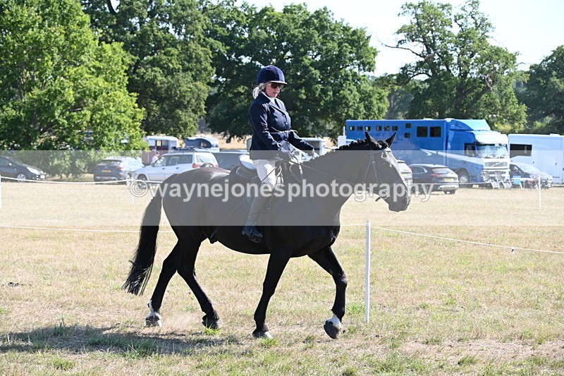 WJ6_7464 - Class 34 Judges Choice