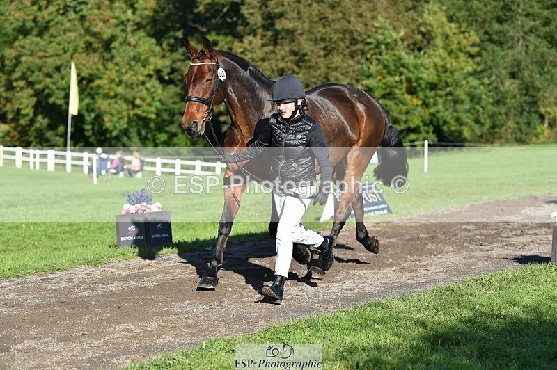 231022-105146-23551 - 466-SPARHANGER.VELVET-Tichy.Sanders-TrotUp+SJ