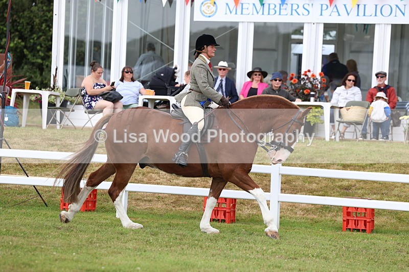 3E7A0524 - Rising Star Ridden Championship