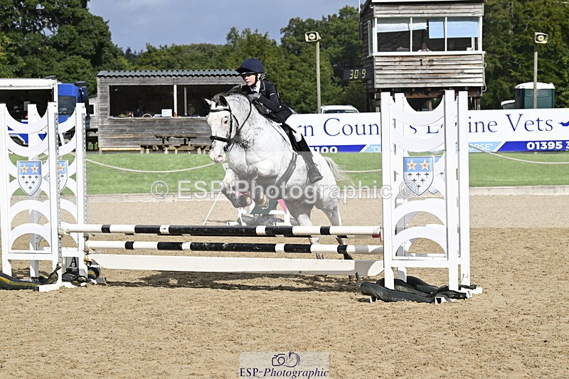 251005A-120930-03627 - Cls 08 Mini 70-75cm