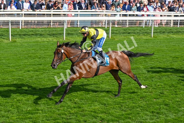 220825-Race 5-Cape Flora-7684 - Race 5 4.10pm Assured Data Protection EBF Fillies' Handicap