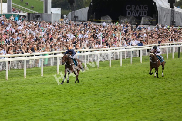 290723-Race 4-Blue Prince-3932 - Race 4 4.00pm 50K ITV7 Weekly Jackpot Nursery Handicap