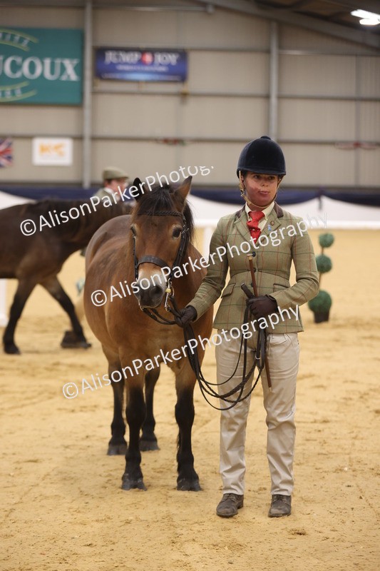 20260913-1061 - Class 109 - Bred On Exmoor In Hand
