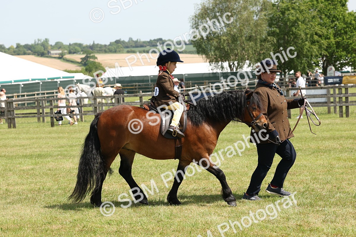 SBM_05244 - Class 24-25 - Mountain & Moorland In Hand Lead Rein and First Ridden
