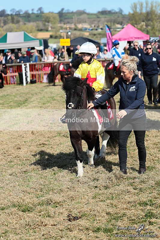 Shet 060426 76 - Shetland Pony Racing Paxford Races Easter Mon 06/04/26