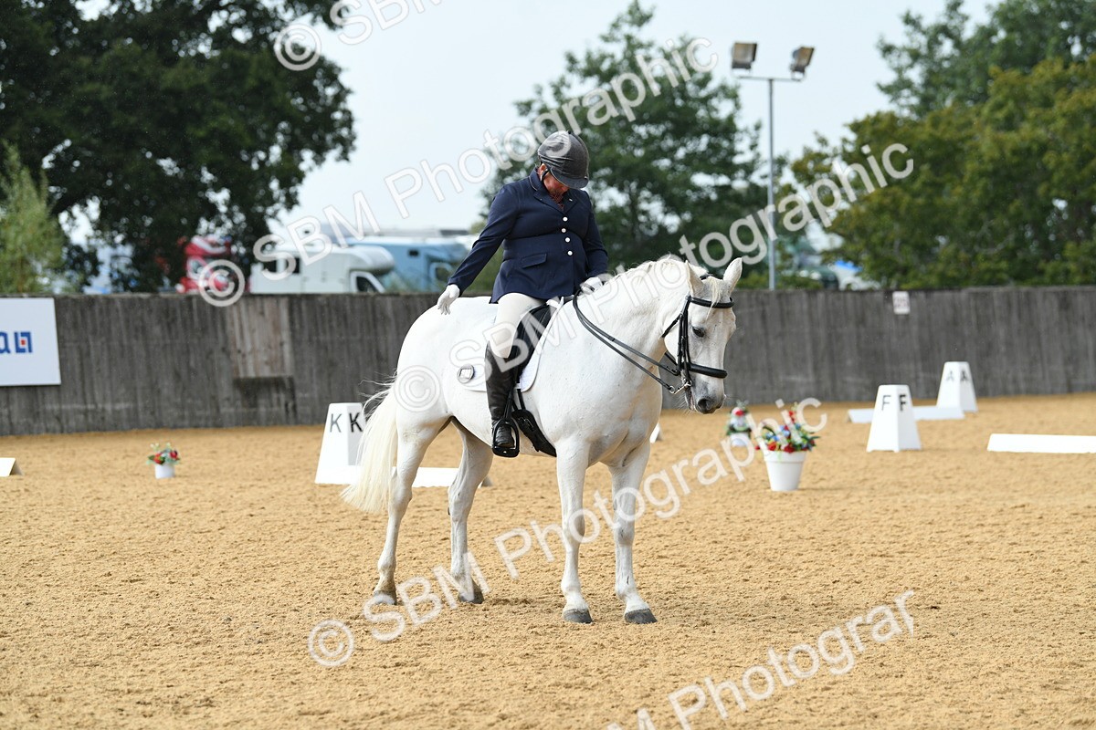 SBM_11102 - D28 Elementary Taster Elementary 42
