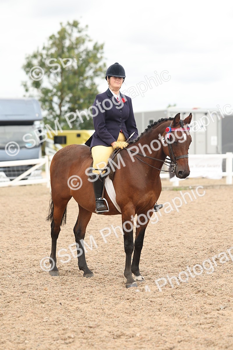 SBM_16026 - Class 311 - Ridden Show pony-Show hunter Pony
