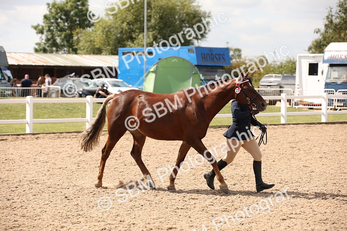 SBM_04583 - Class 20 IH Veteran