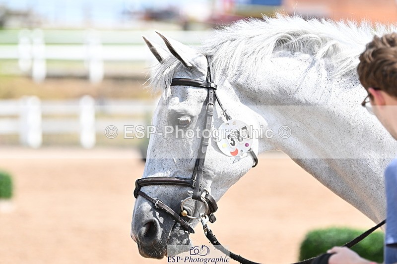 240717A-153915-02951 - Trot Up 3pm to 4pm
