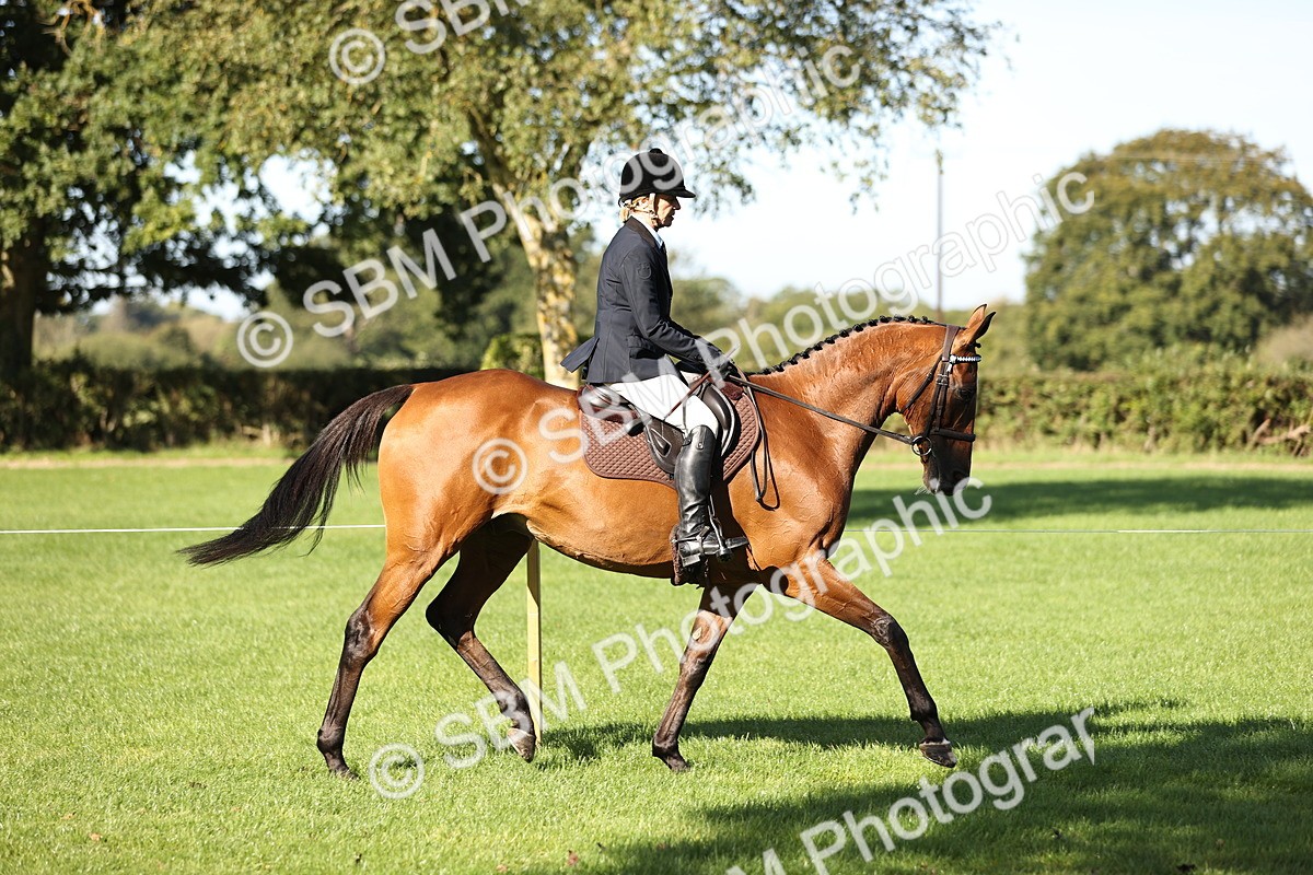 SBM_16879 - S2 - TSR Ridden Pony Showing