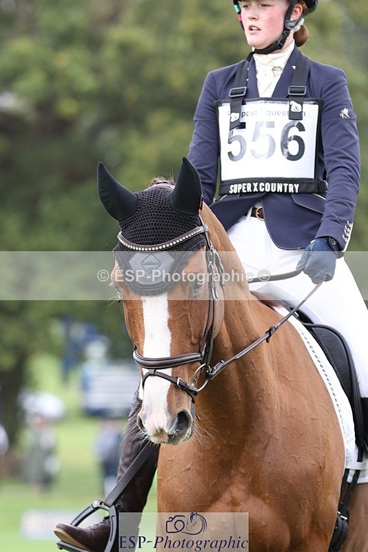 231019-153350-04922 - 556-SHANNONDALE.MOCHA-Lucy.Davies-DR