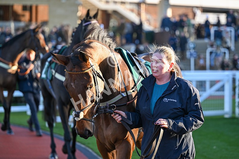 251025-Race 7-Hans Lippershey-9997 - Race 7