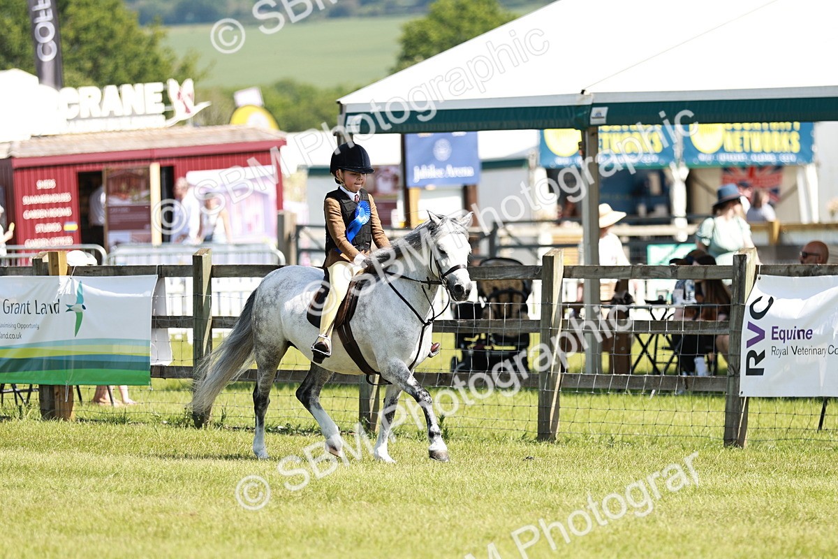 SBM_12841 - Class 106-107 - BSPS LIHS Working Sports Pony