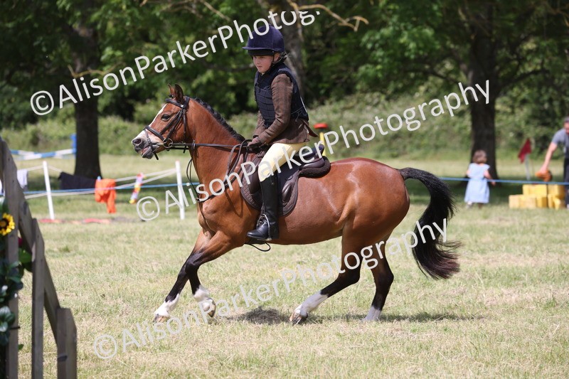 20260614-1758 - Class 21 - Novice Working Hunter Pony