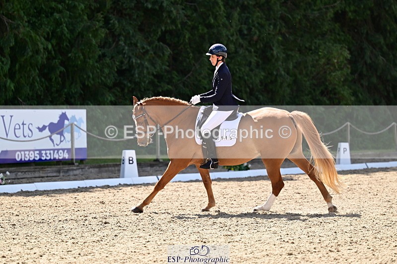 260731A-110149-00195 - Elementary Bronze 10.30 - Break