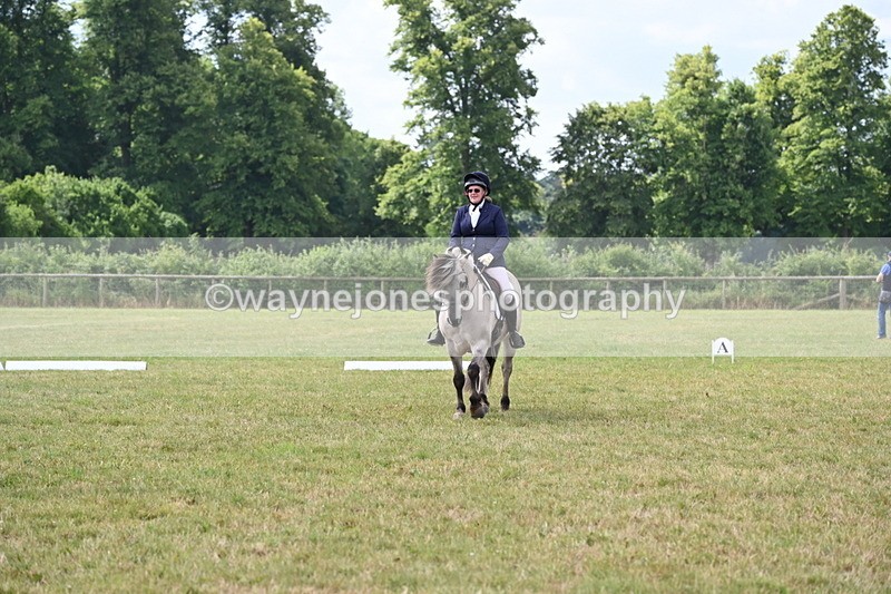 WJ6_6154 - Time 09:46 to 10:26