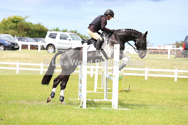 3E7A7659 - Class 13: Senior British Novice/90cm open